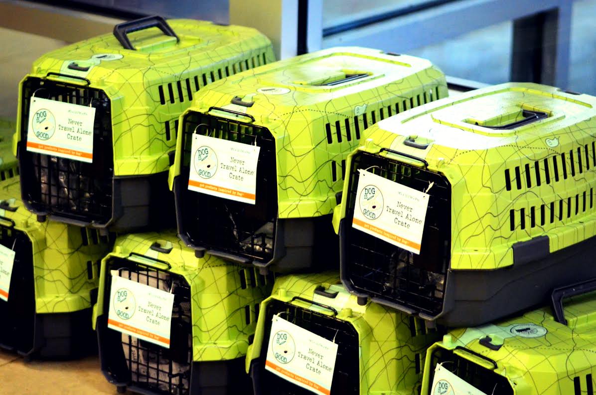 small green animal carrier