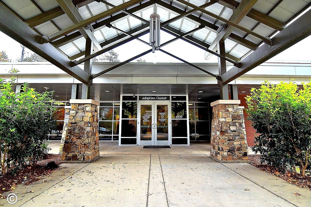 PAWS building front
