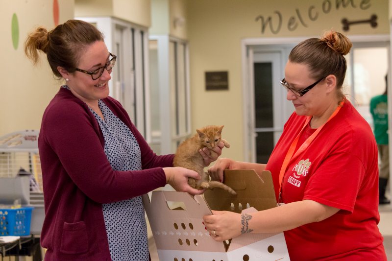 two women with orange cat