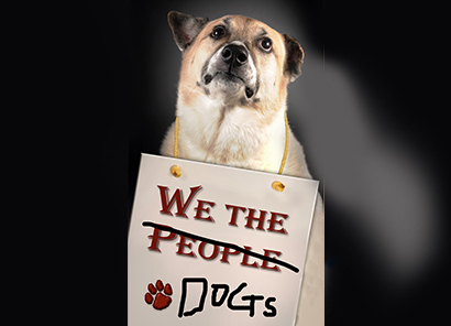 Shepard dog legislation