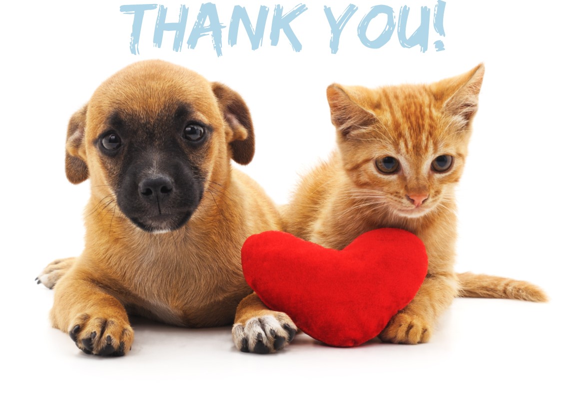 cat and dog with heart