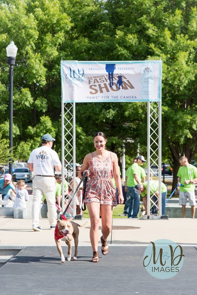 fashion show woman walking dog