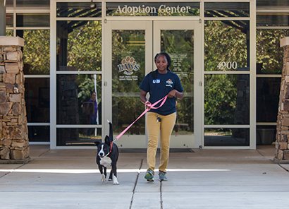 PAWS woman walking dog