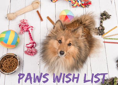 cat wish list