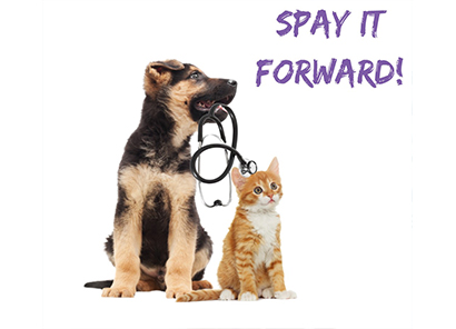 animals spay it forward