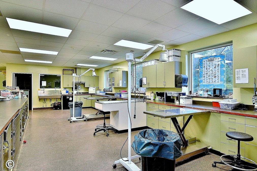 vet clinic exam tables