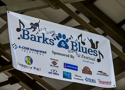 barks and blues banner
