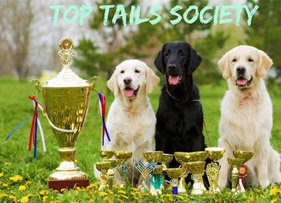 dogs top tails society