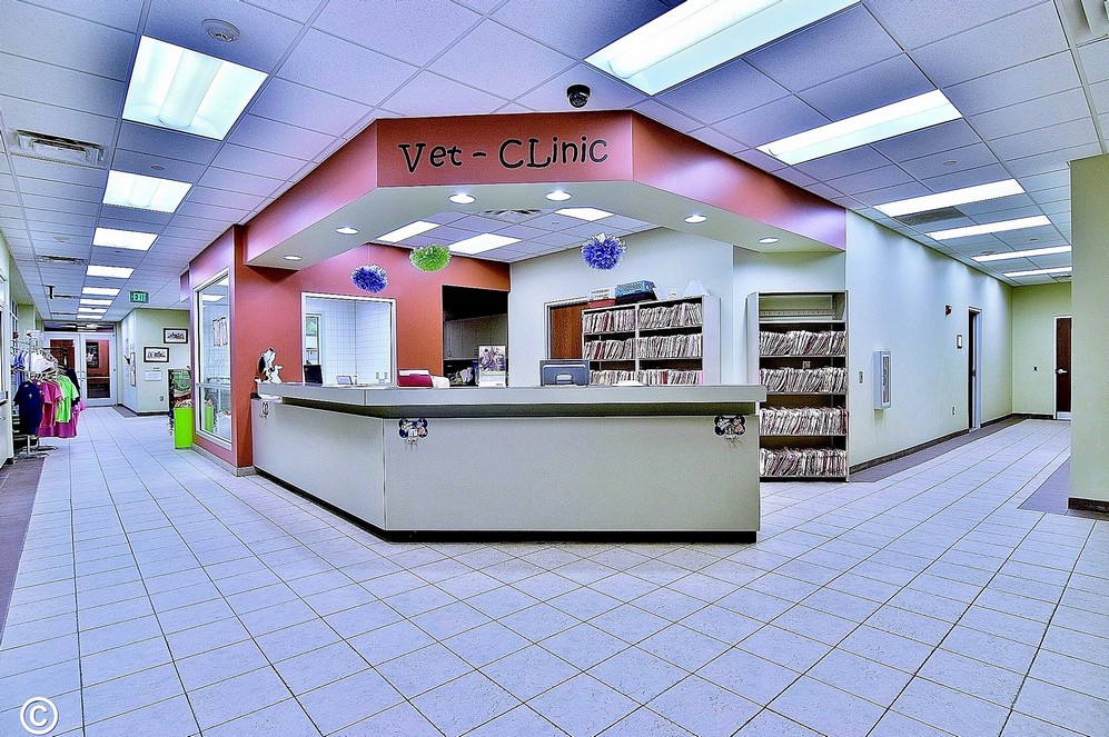 vet clinic front desk