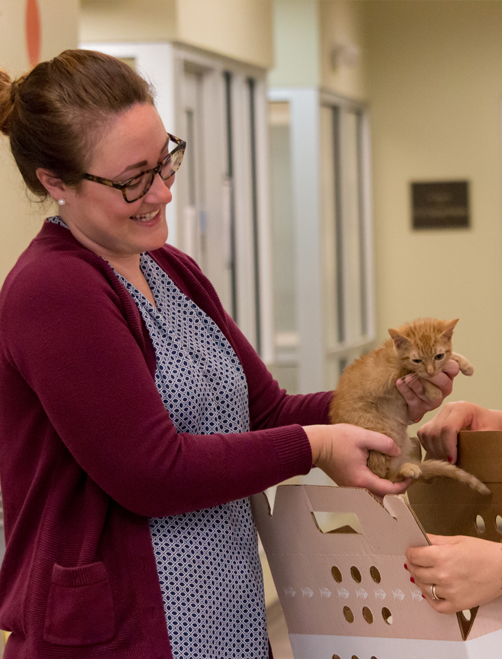 woman with orange kitten