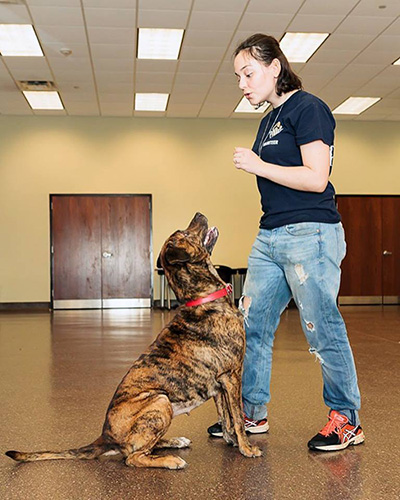 dog with trainer